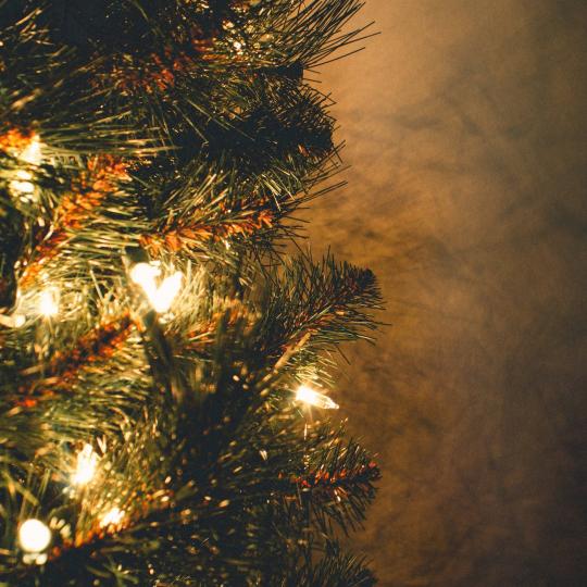 Rozsvícení vánočního stromu 2